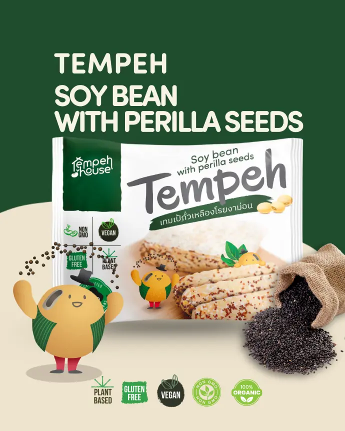 Tempeh Soybean