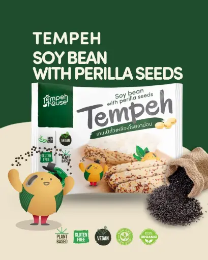 Tempeh Soybean